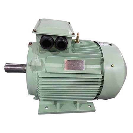標(biāo)準(zhǔn)三相電動(dòng)機(jī)