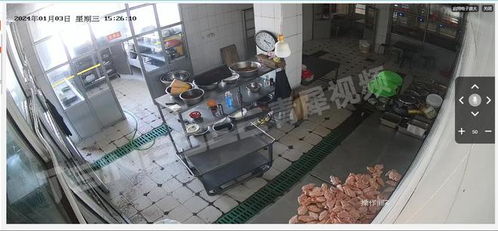 EasyCVR AI技術賦能食品加工廠管理透明化，筑牢食品安全網絡防線